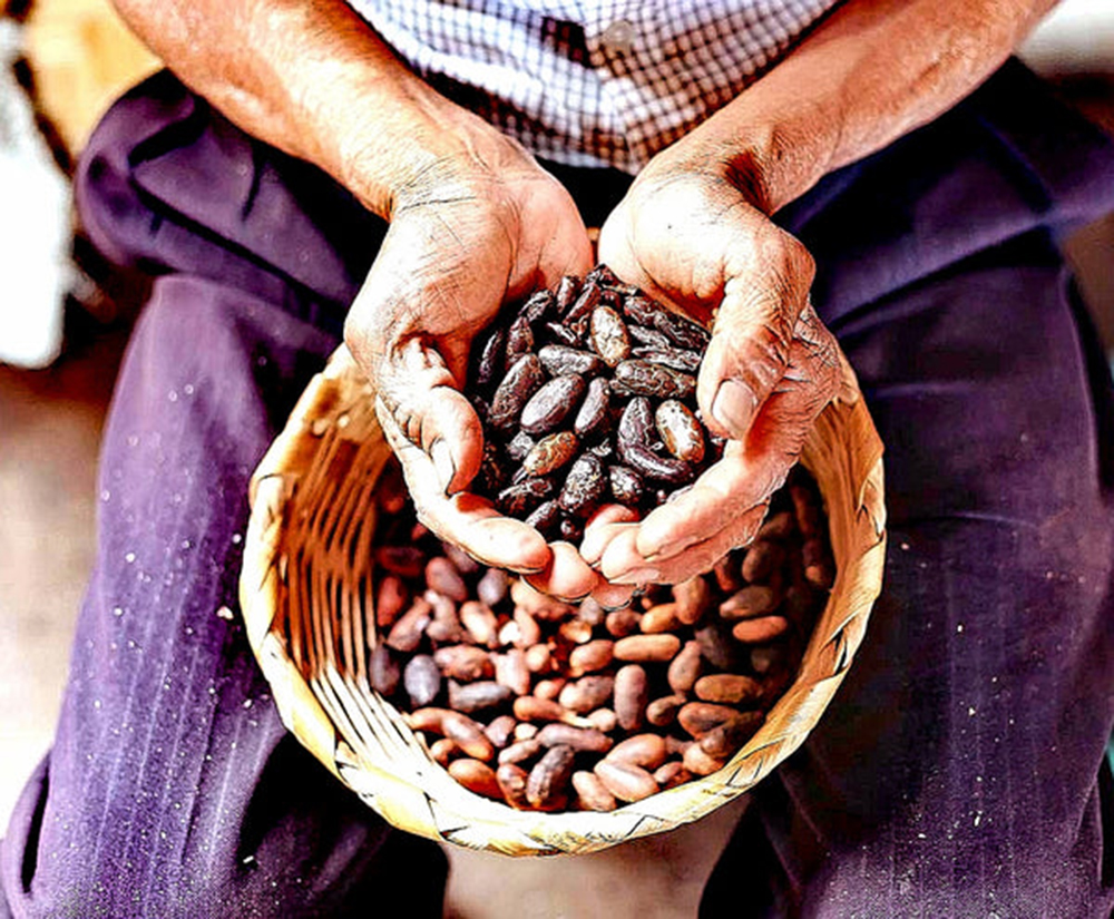 Las ceremonias de cacao han ayudado desde siempre a reequilibrar las energías de las personas. Foto: Curasanashop.
