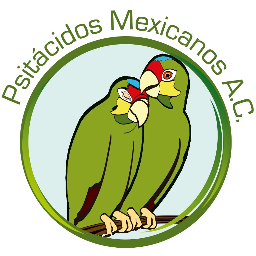 Logo Psitácidos mexicanos A.C. (Psitamex) 