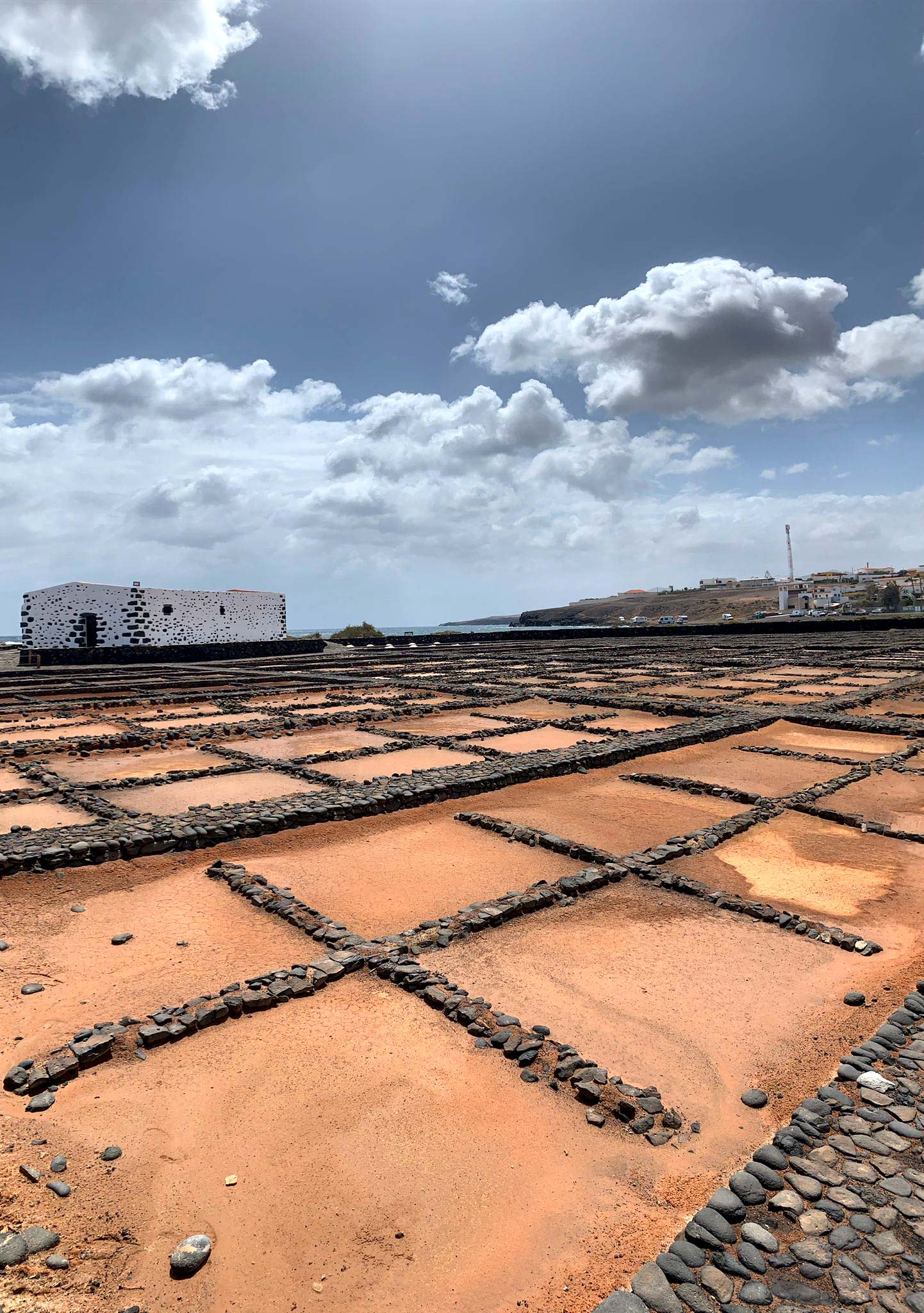 Isla Fuerteventura (Foto: Connie Darilek)