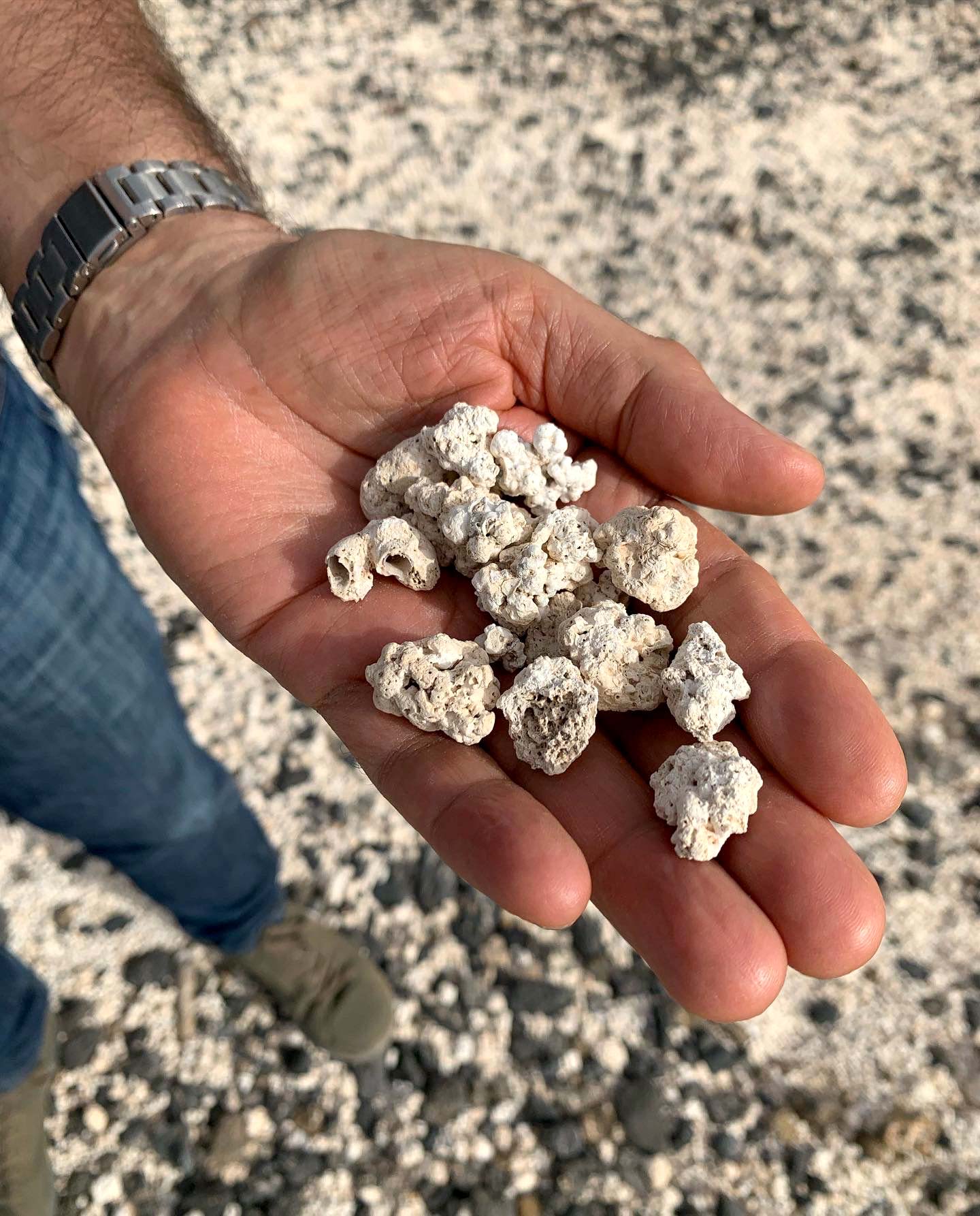 Isla Fuerteventura (Foto: Connie Darilek)