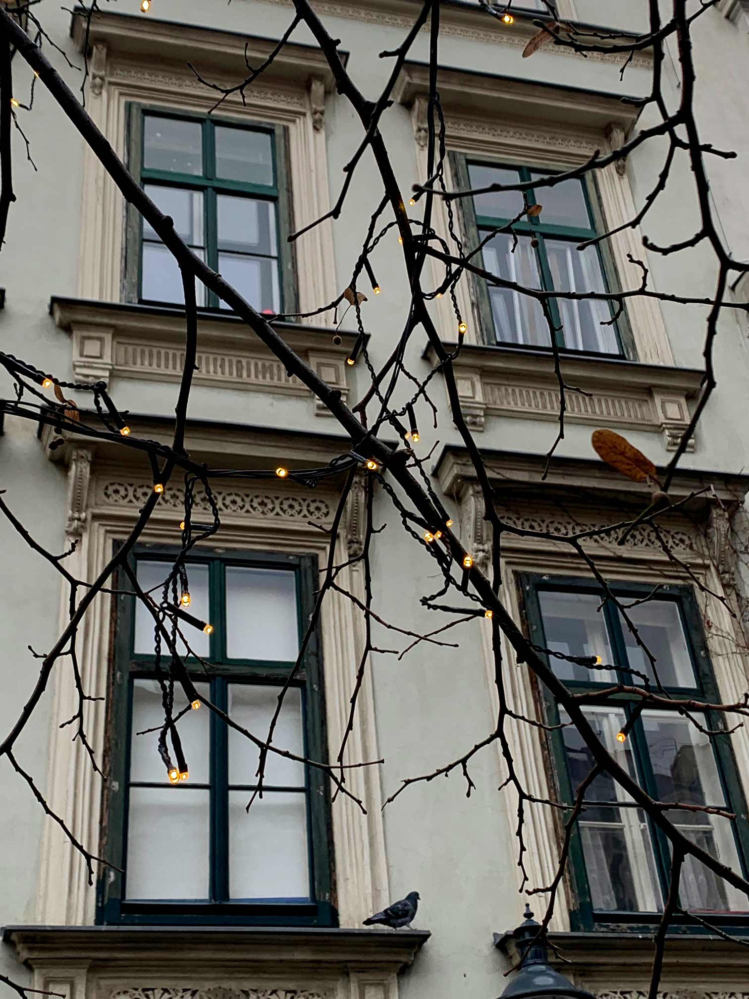 Foto: Connie Darilek