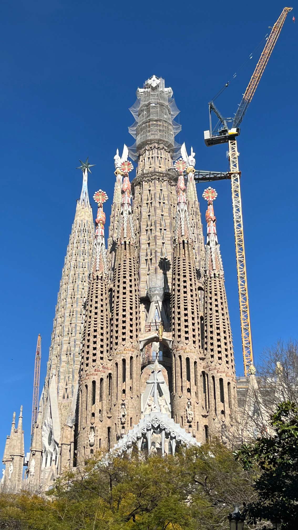 La nueva cruz de la Sagrada Familia. Foto: Connie Darilek.