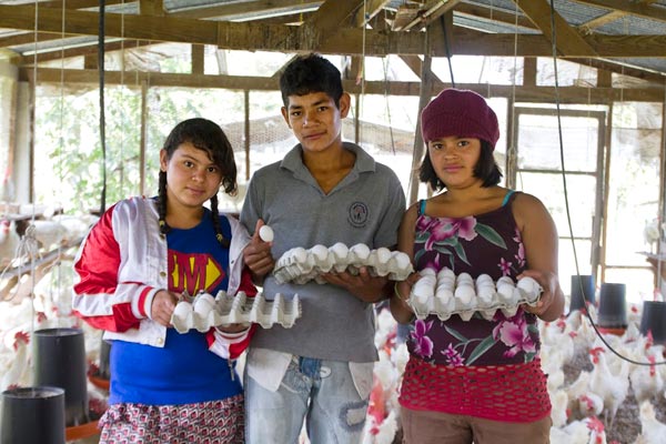 Junge Mädchen und Burschen lernen im Hühnerstall des NPH Honduras.