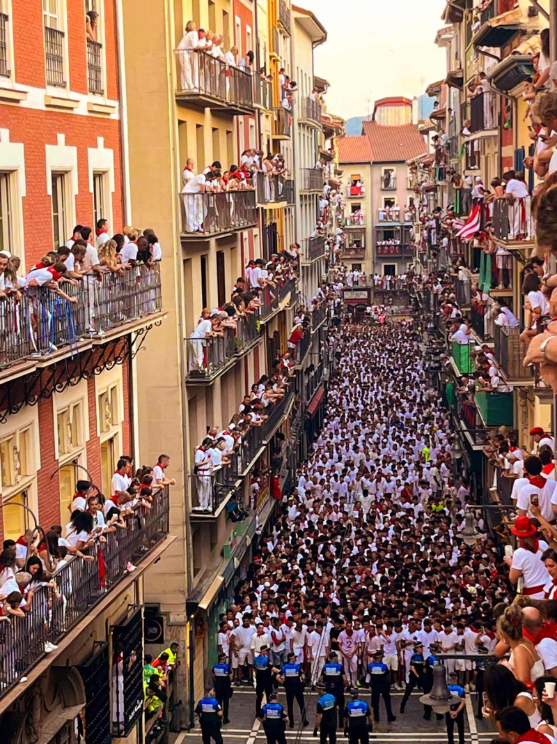 Alrededor de 1,5 millones de personas participaron este año en la famosa fiesta española "Sanfermines".